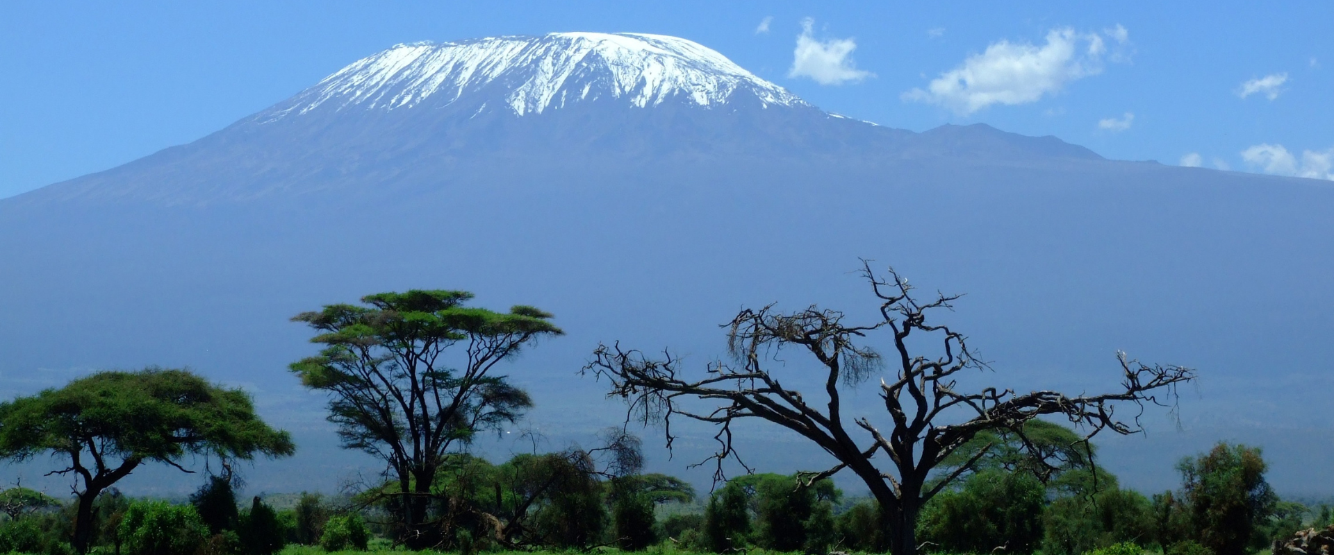 African Safari  Altitude Travel handpick luxury experience