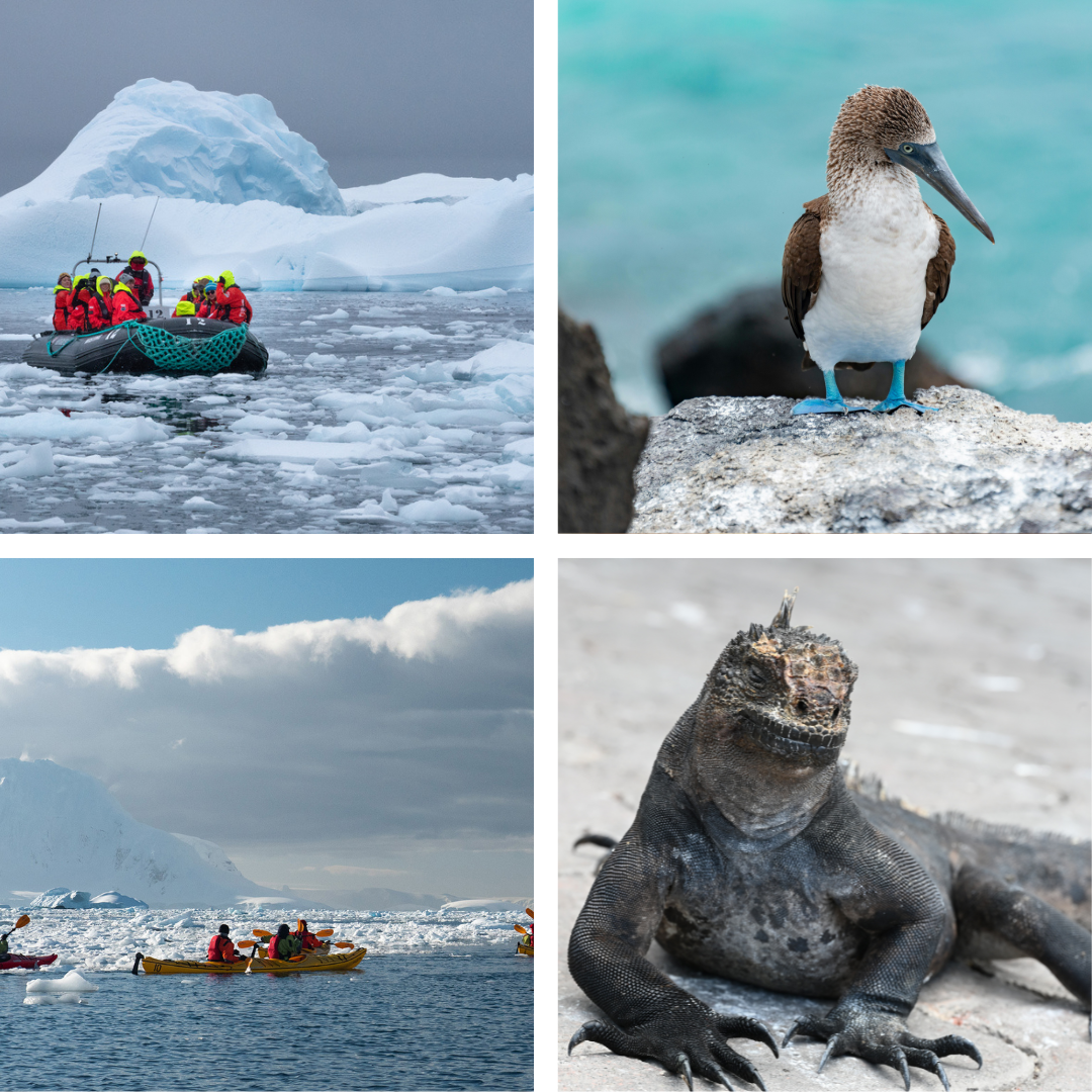 Luxury Expedition Cruises Planning Toronto  (2)