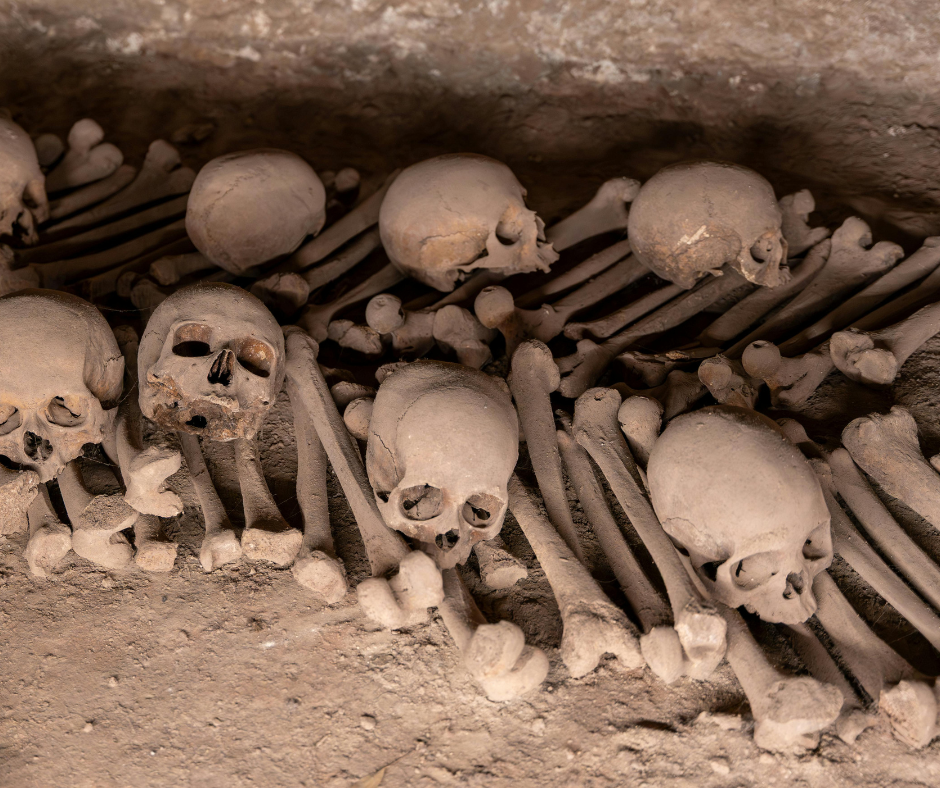 The Paris Catacombs A Haunting Underground