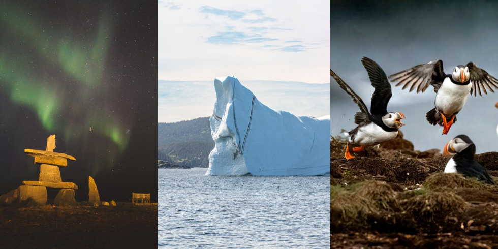 Top Experiences to do in St John Newfoundland and Labrador