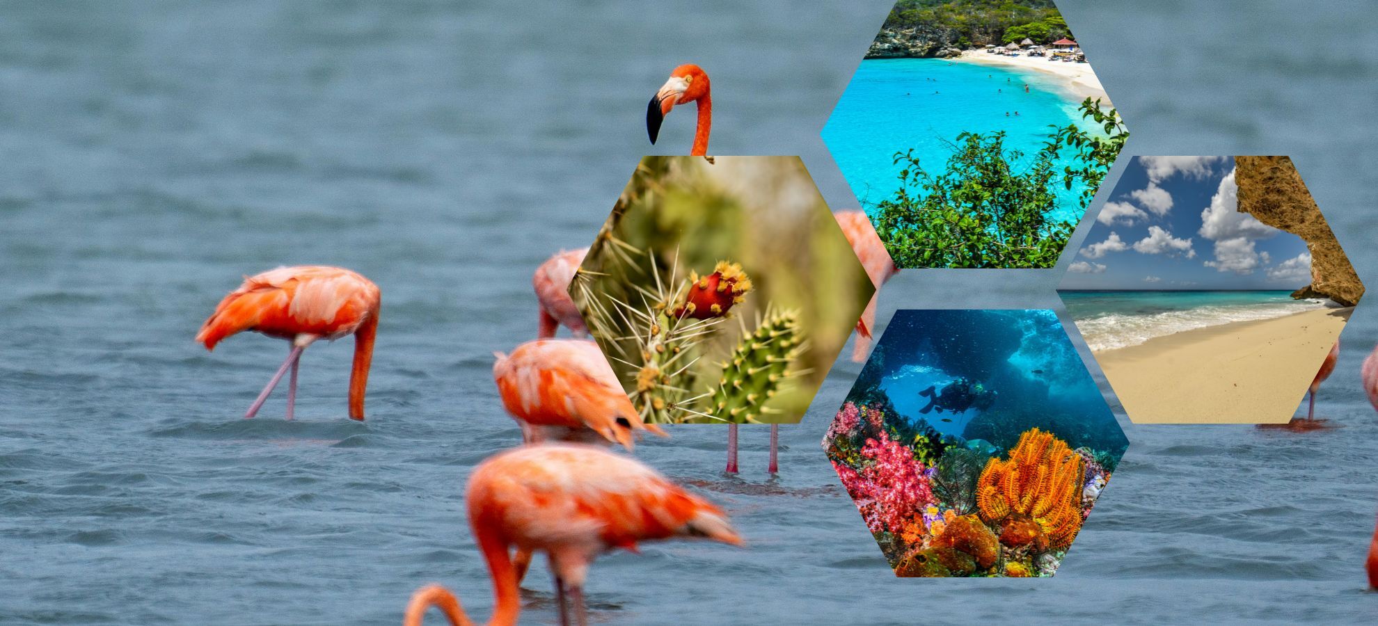 blog-post-featured-image