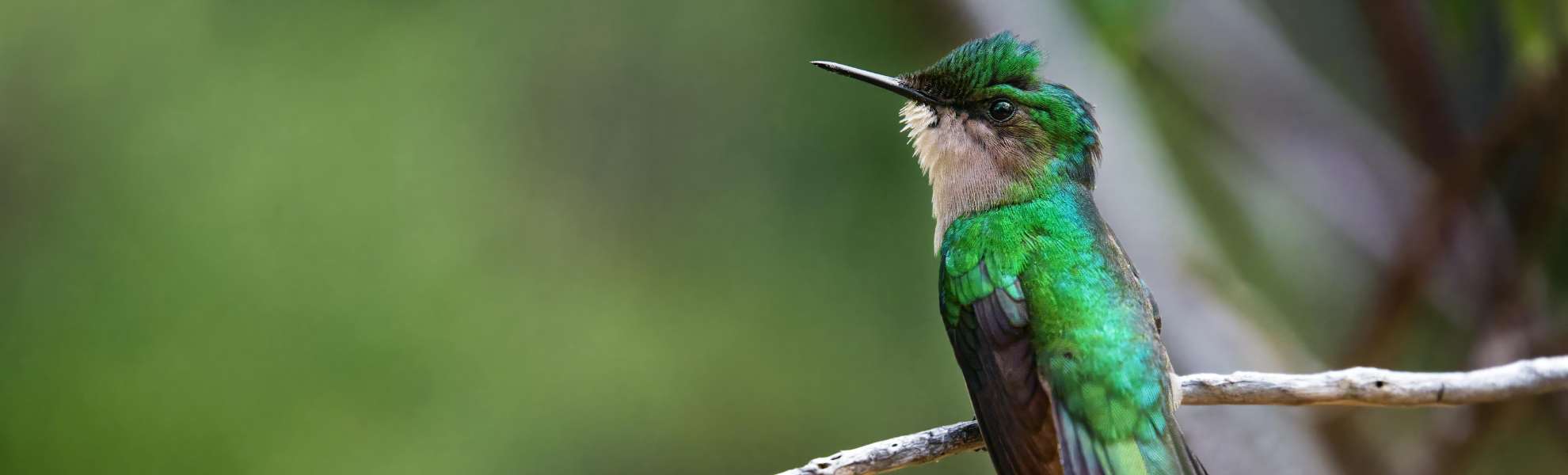 blog-post-featured-image